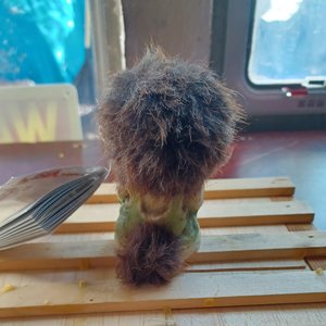 NYForm Norwegian Collectible Troll Figurine Souvenir