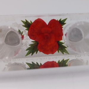 Vintage Lucite Salt and Pepper Single Unit with Encased Rose in the Center