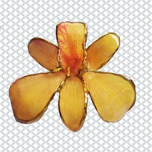 Vintage Real Orchid Gold Plated Edges and Back Brooch Stick Pin, Mother's Day Gift, Flower Pin