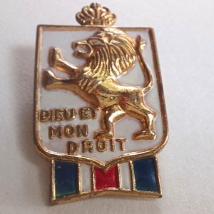 Vintage *Dieu et Mon Droit (GOD And My Right) WWll British War Relief Accessocraft Lapel Pin