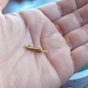 14K Gold Small Feather Pin Stamped DIBB, Lapel Pin, Gold Feather Pin