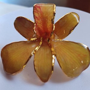 Vintage Real Orchid Gold Plated Edges and Back Brooch Stick Pin, Mother's Day Gift, Flower Pin
