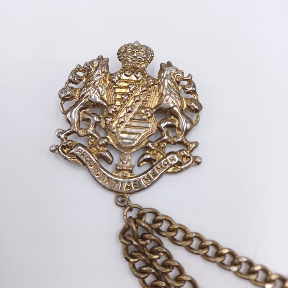Vintage Gold Tone Providentiae Memor Lion Crown Keys Chain Double Brooch