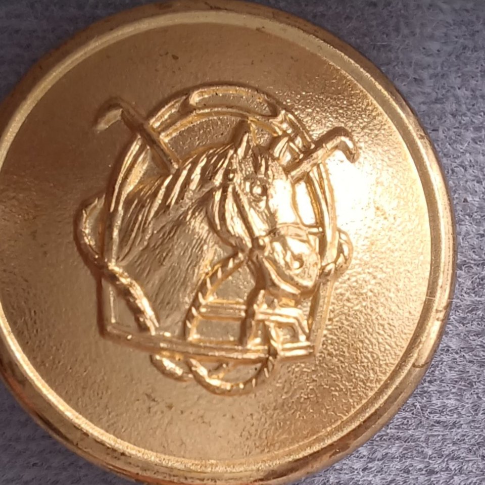 Nordstrom Gold Tone Equestrian Theme Coat Buttons Gift Set, Horse Lover, Vintage Unused