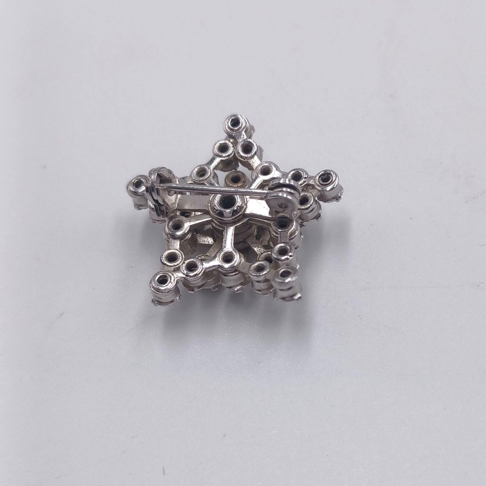 Vintage Rhinestone Order of the Eastern Star Silver Tone Brooch, OES Brooch