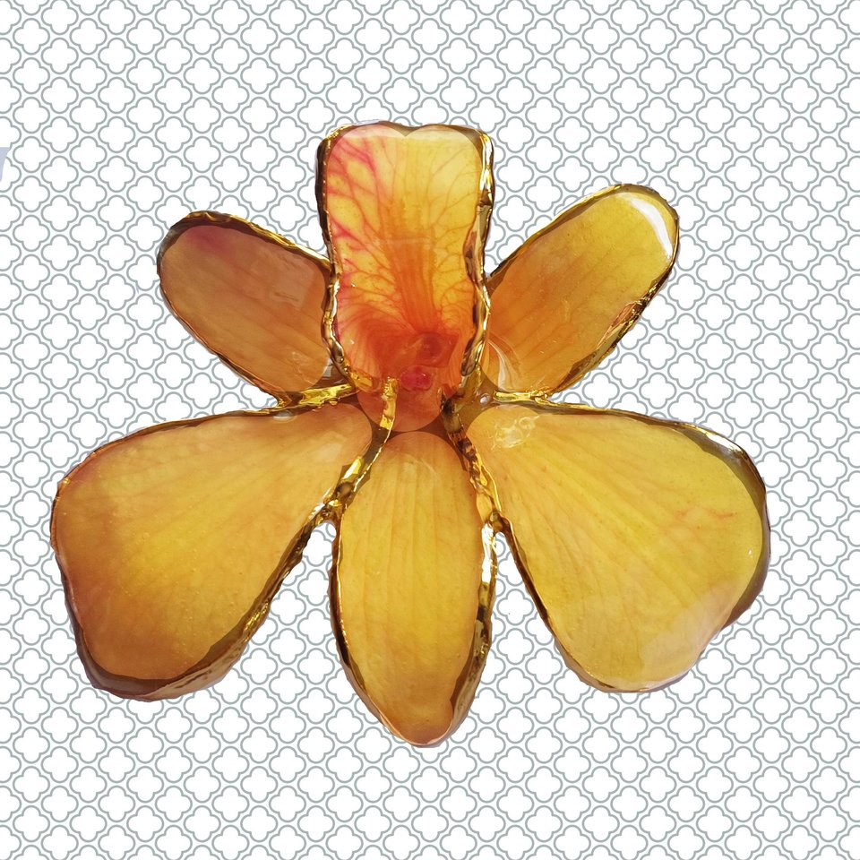 Vintage Real Orchid Gold Plated Edges and Back Brooch Stick Pin, Mother's Day Gift, Flower Pin