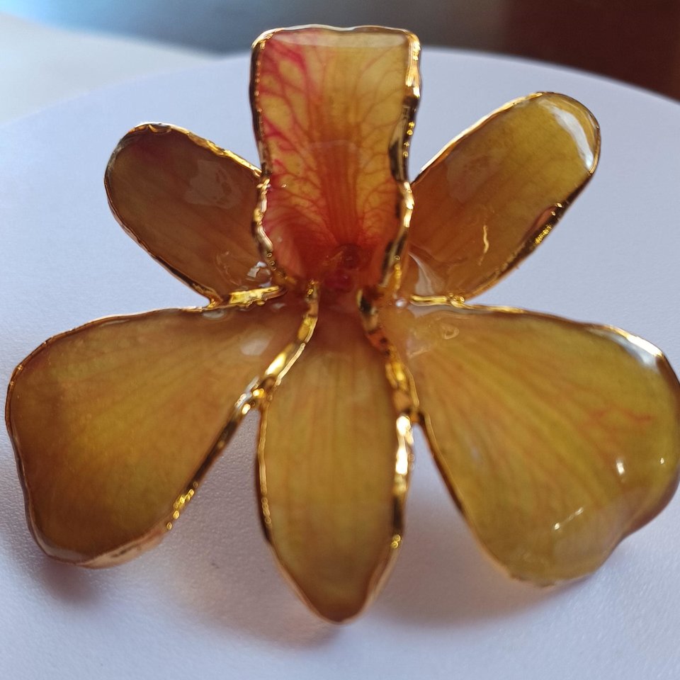 Vintage Real Orchid Gold Plated Edges and Back Brooch Stick Pin, Mother's Day Gift, Flower Pin